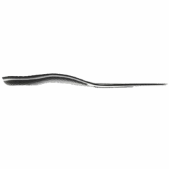 Sidas Bike+ Insoles -Sports Basement Outlet 100250738 4