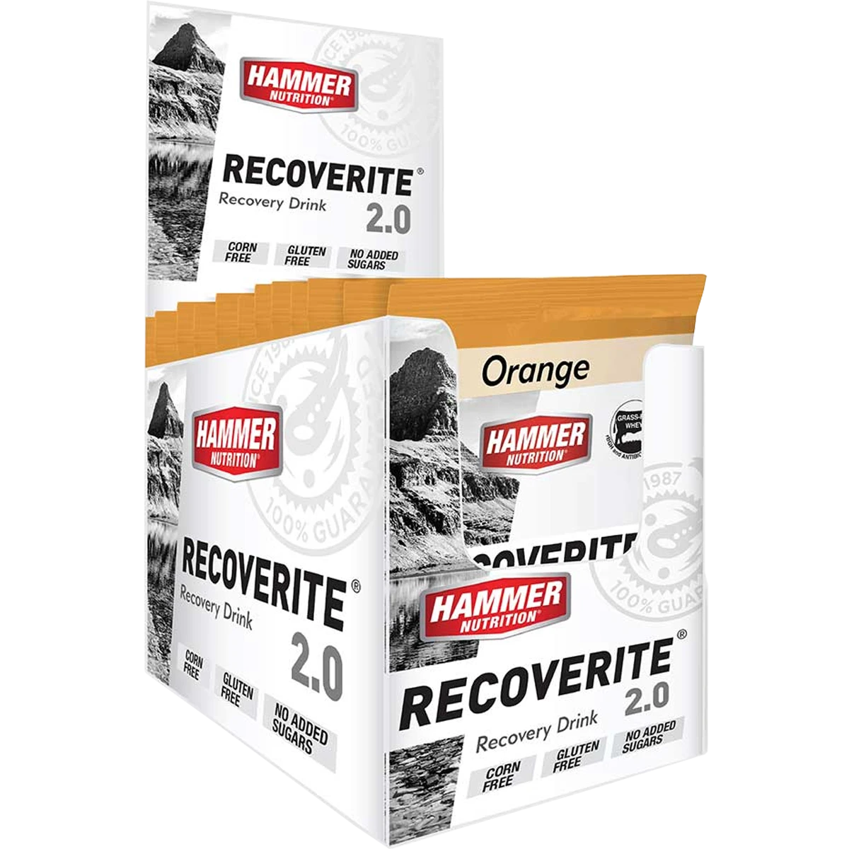 Recoverite 2.0 Single Serving 12 Recoverite 2.0 Single Serving - Image 10