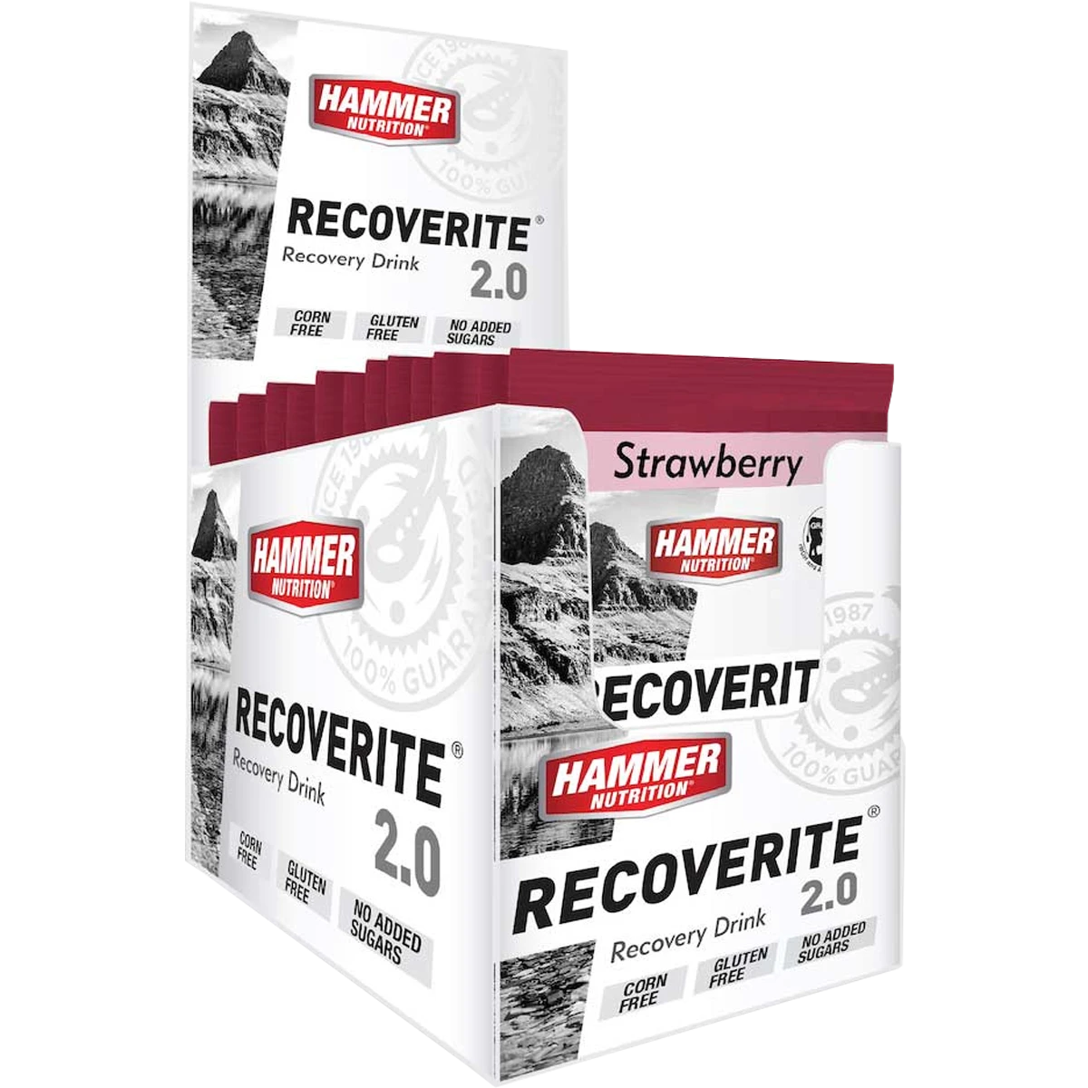 Recoverite 2.0 Single Serving 10 Recoverite 2.0 Single Serving - Image 8