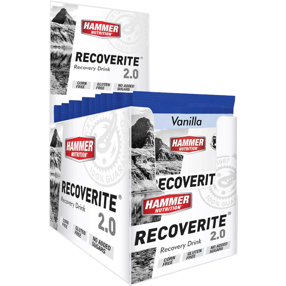 Recoverite 2.0 Single Serving 6 Recoverite 2.0 Single Serving - Image 4