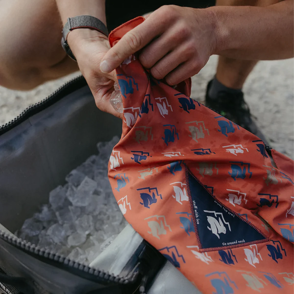 Ice Rad-Dana 6 Ice Rad-Dana - Image 4