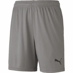 Puma Youth TeamGoal 23 Knit Shorts