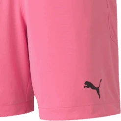 Puma Youth TeamFinal 21 Knit Shorts -Sports Basement Outlet 100279513 PNKG 3