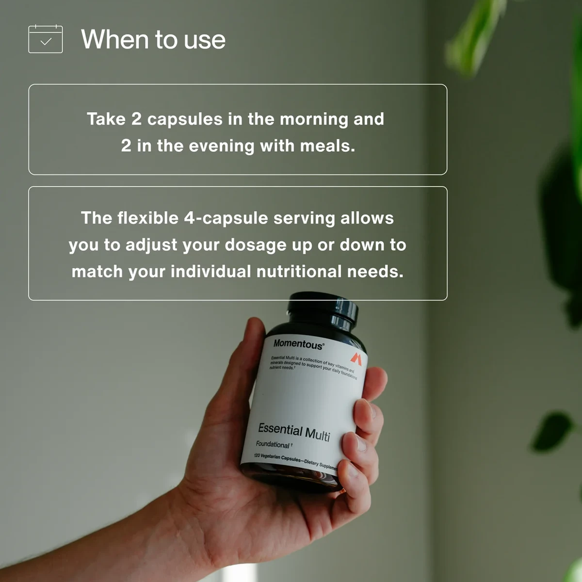 Essential Multi (30 Servings) 4 Essential Multi (30 Servings) - Image 2