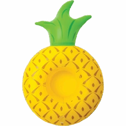 Tropical Fruit Drink Float -Sports Basement Outlet 100292692x5